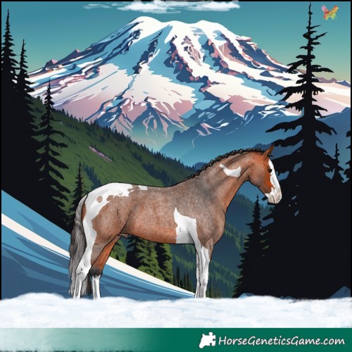 Horse Color:Bay Roan Splash Tobiano 