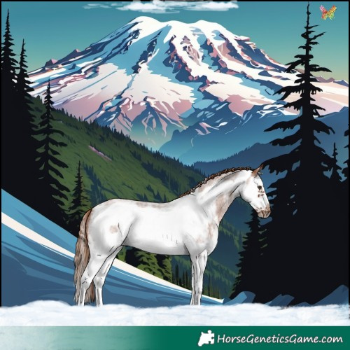 Horse Color:Red Roan Sabino Splash Frame 