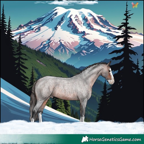 Horse Color:Bay Roan Splash Varnish 