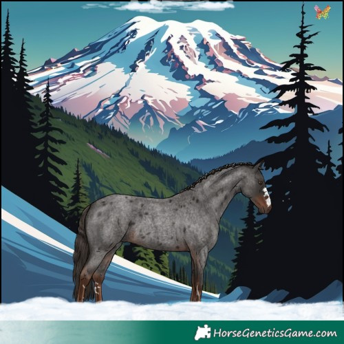 Horse Color:Liver Red Roan 