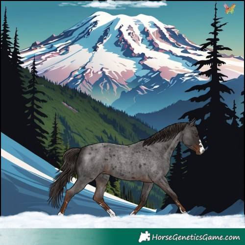 Horse Color:Liver Red Roan 