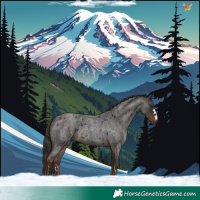 Horse Color:Liver Red Roan 
