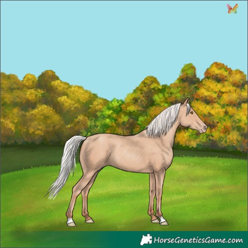 Horse Color:Silver Classic Champagne