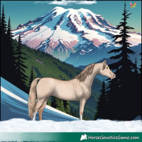 Horse Color:Gold Champagne Dun Tobiano Rabicano