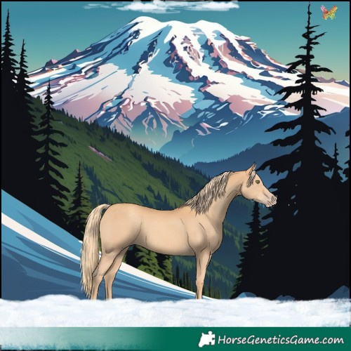 Horse Color:Gold Champagne 