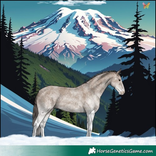 Horse Color:White Spotted Classic Champagne