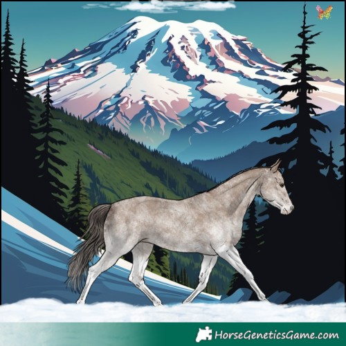 Horse Color:White Spotted Classic Champagne 