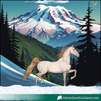 Horse Color:Gold Champagne Roan 