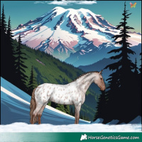 Horse Color:Red Roan Blanket 