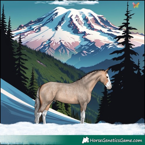 Horse Color:Bay Roan Dun Splash 