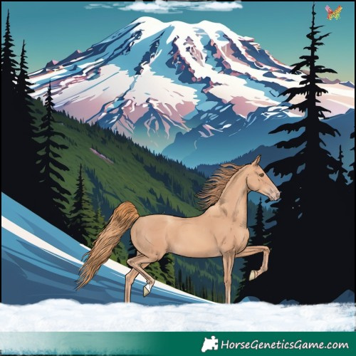 Horse Color:Gold Champagne 