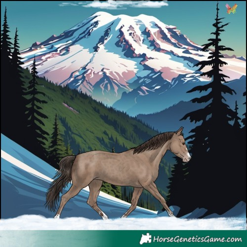 Horse Color:Classic Champagne 