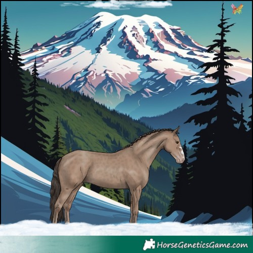 Horse Color:Classic Champagne