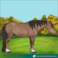 Horse Color:Liver Red Dun 