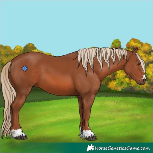 Horse Color:Chestnut 