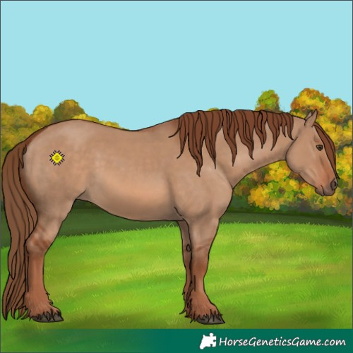 Horse Color:Red Dun 