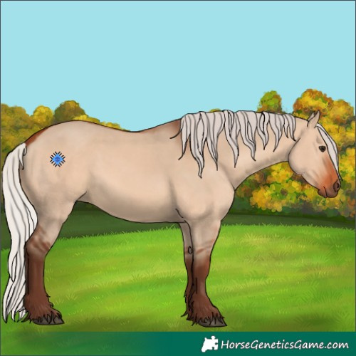 Horse Color:Silver Bay Dun 