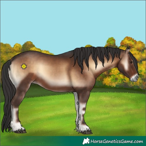 Horse Color:Liver Red Onyx