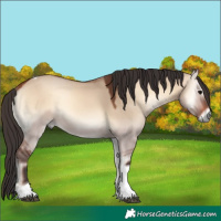 Horse Color:Bay Onyx Tobiano 