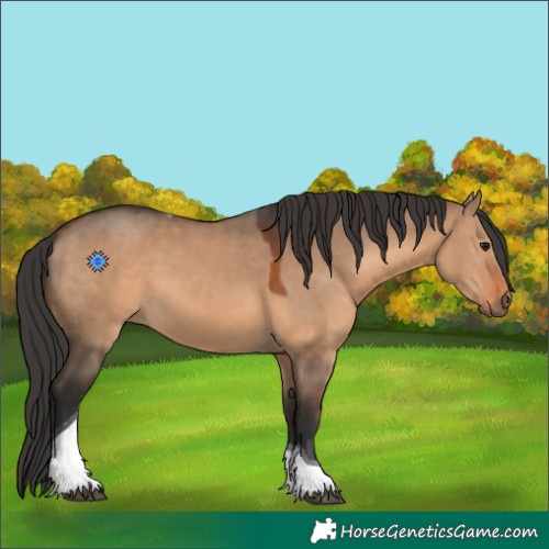 Horse Color:Brown Dun Tobiano 