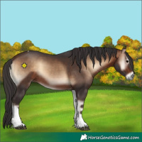 Horse Color:Bay Onyx Tobiano 