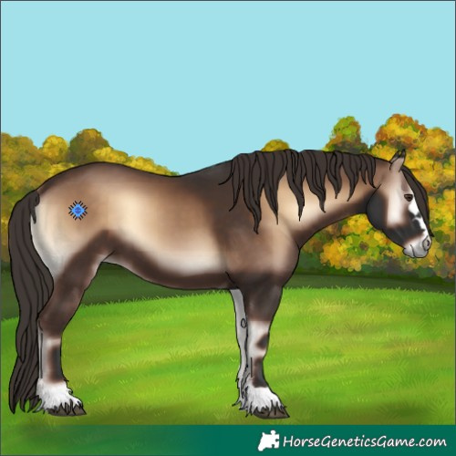Horse Color:Liver Red Onyx 
