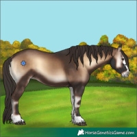 Horse Color:Liver Red Onyx