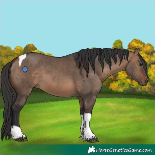 Horse Color:Brown Dun Tobiano 