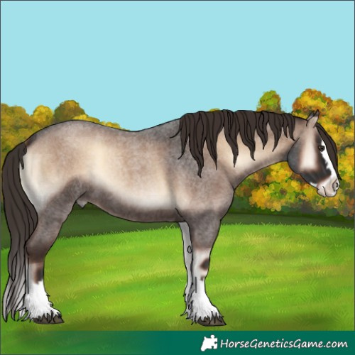 Horse Color:Liver Red Onyx Roan Splash 