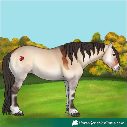 Horse Color:Bay Onyx 