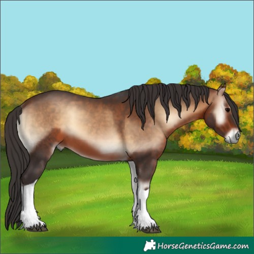 Horse Color:Bay Onyx Tobiano 