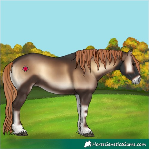 Horse Color:Liver Red Onyx 