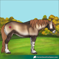 Horse Color:Liver Red Onyx
