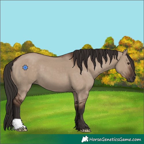 Horse Color:Liver Red Dun 