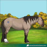 Horse Color:Liver Red Dun 