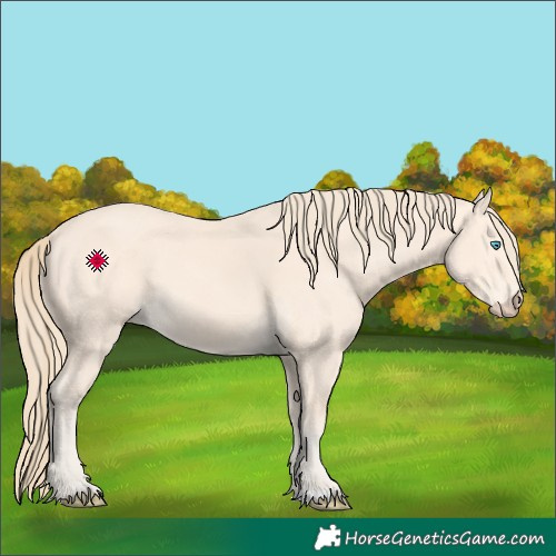 Horse Color:Perlino 
