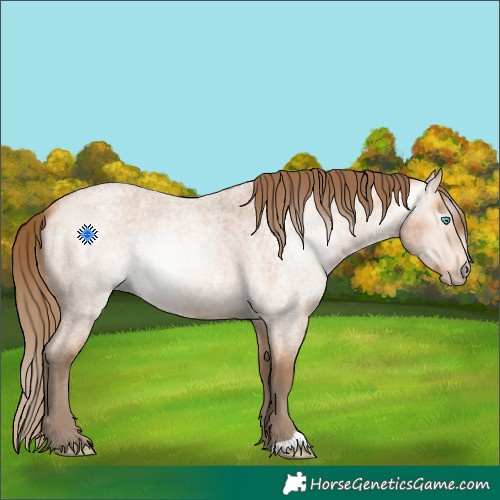 Horse Color:Gray Perlino Roan 