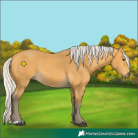 Horse Color:Silver Buckskin 
