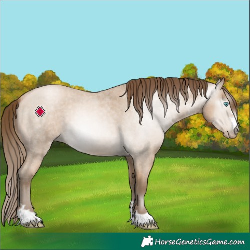 Horse Color:Gray Buckskin Roan Pearl 