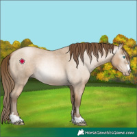 Horse Color:Gray Buckskin Roan Pearl