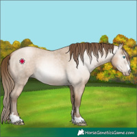 Horse Color:Gray Buckskin Roan Pearl