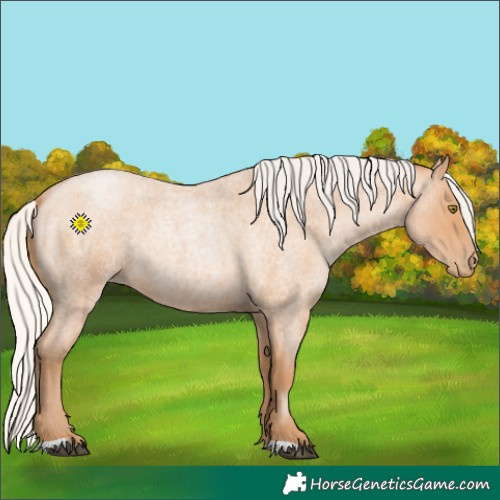 Horse Color:Silver Bay Roan Pearl 