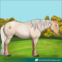 Horse Color:Silver Bay Roan Pearl