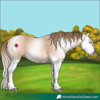 Horse Color:Gray Perlino Splash 