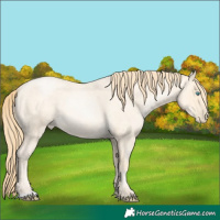 Horse Color:Buckskin Roan Pearl 