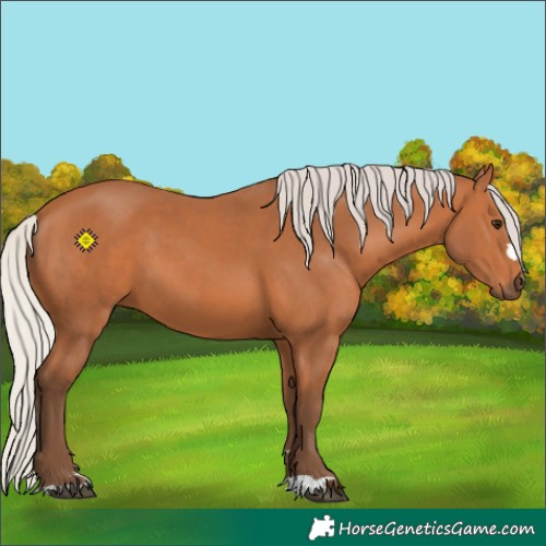 Horse Color:Silver Bay 