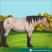Horse Color:Bay Roan