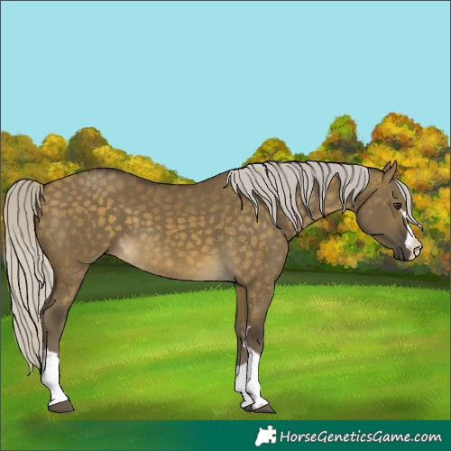 Horse Color:Unknown 