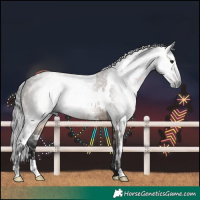 Horse Color:Gray White Spotted Brown Dun Brindle
