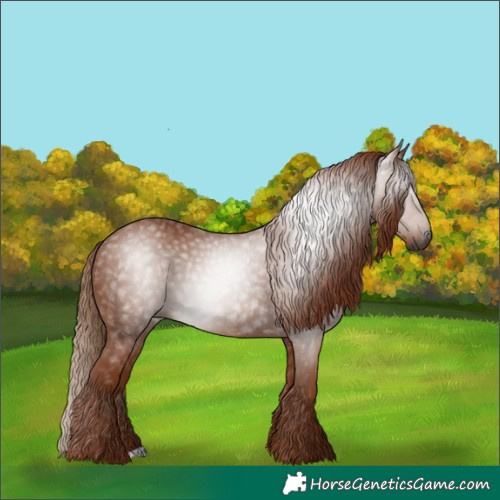 Horse Color:Gray Chestnut 